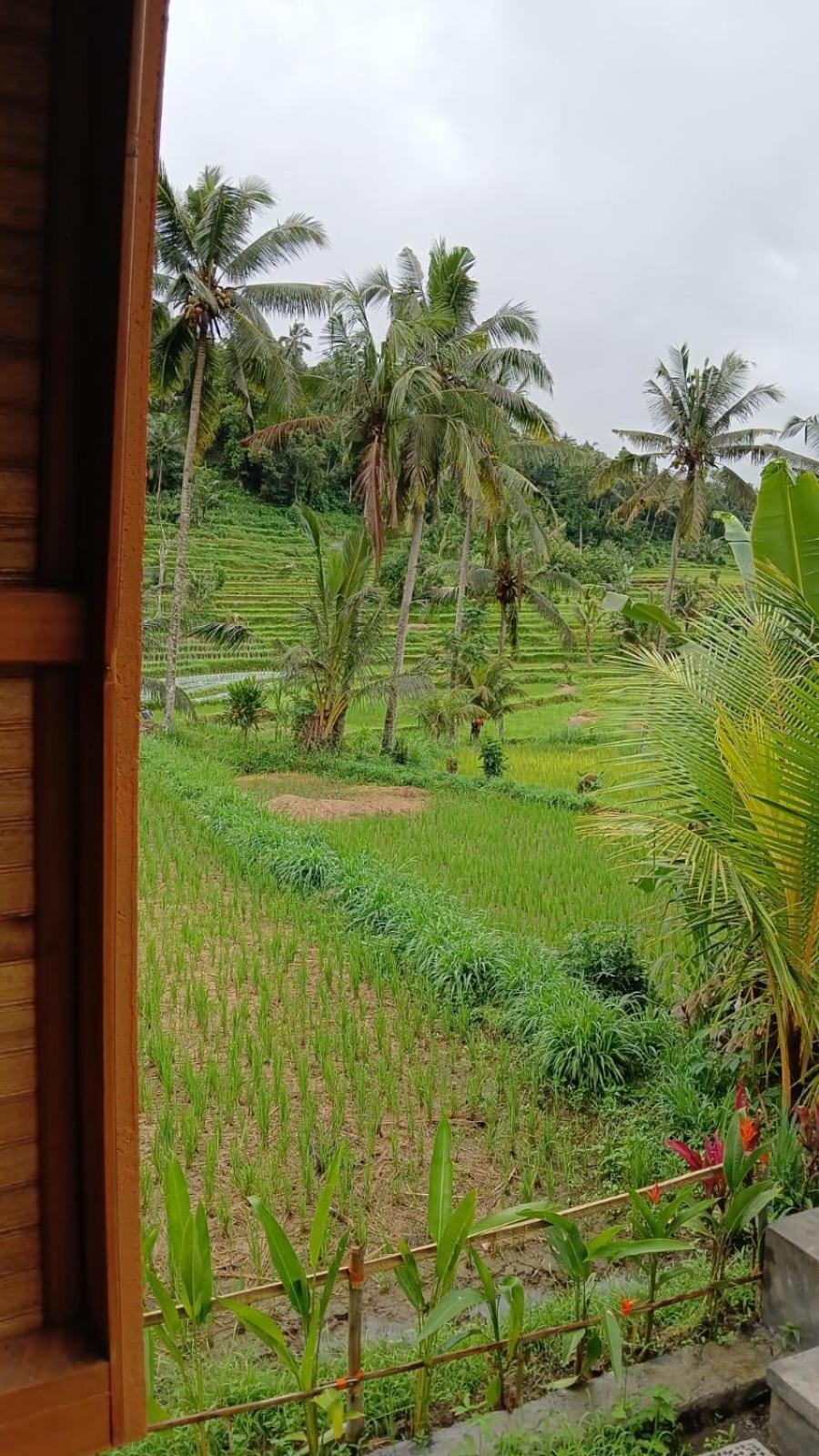 Lumbung Umaluah Villa Sidemen  Extérieur photo